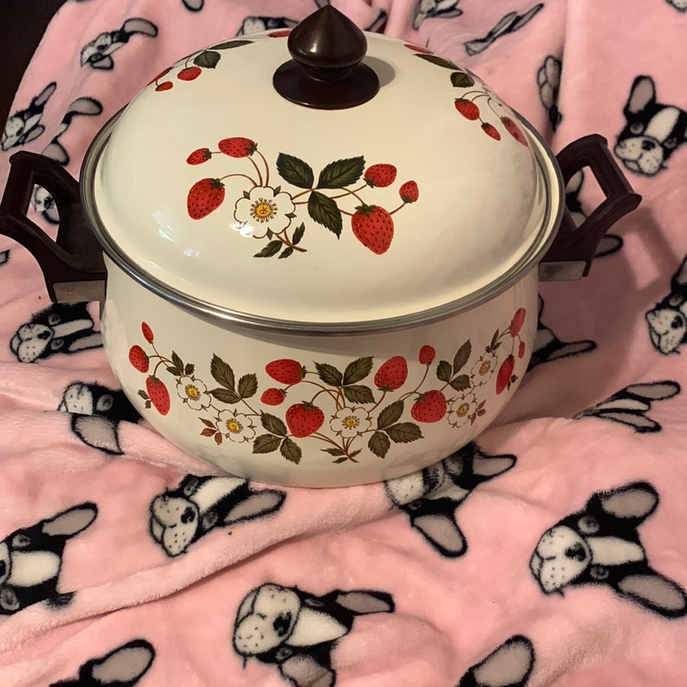 Enamel, Stock Pot, Pot, Lid, Country Kitchen, Strawberry,, Double Handle Vintage